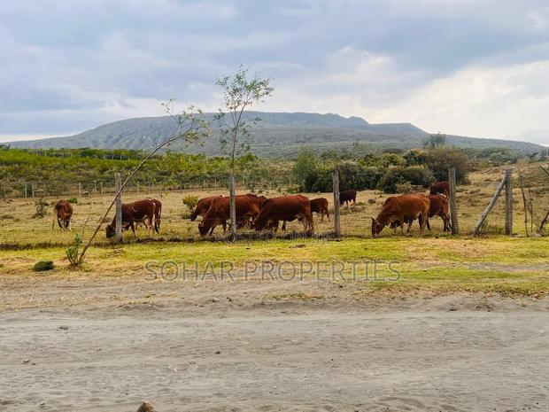 Longonot, Naivasha - 50x100 Plots on Sale