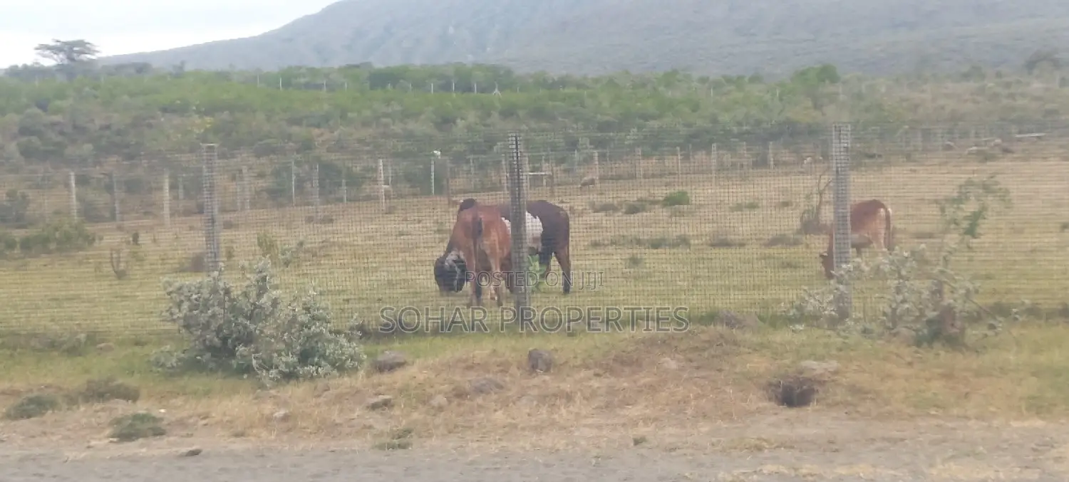 Longonot, Naivasha - 2 Acres Available for Lease