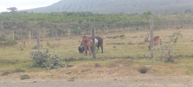 Longonot, Naivasha - 2 Acres Available for Lease