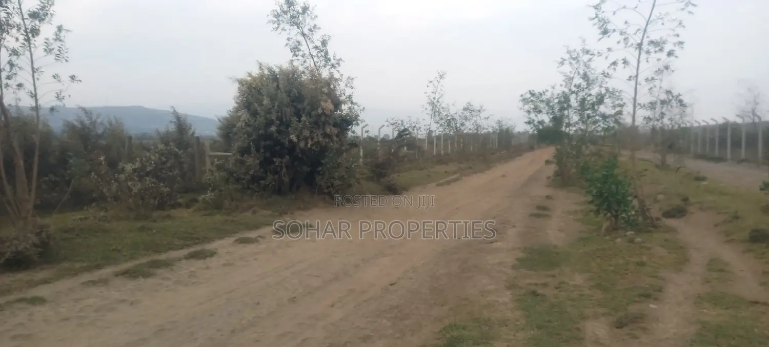 Longonot, Naivasha - 2 Acres Available for Lease