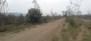 Longonot, Naivasha - 2 Acres Available for Lease