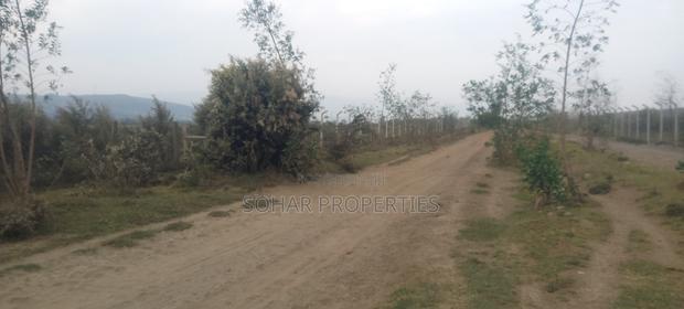 Longonot, Naivasha - 2 Acres Available for Lease - thumbnail 2