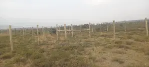 Longonot, Naivasha - 2 Acres Available for Lease