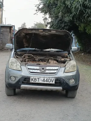 Honda CR-V 2005 Gray