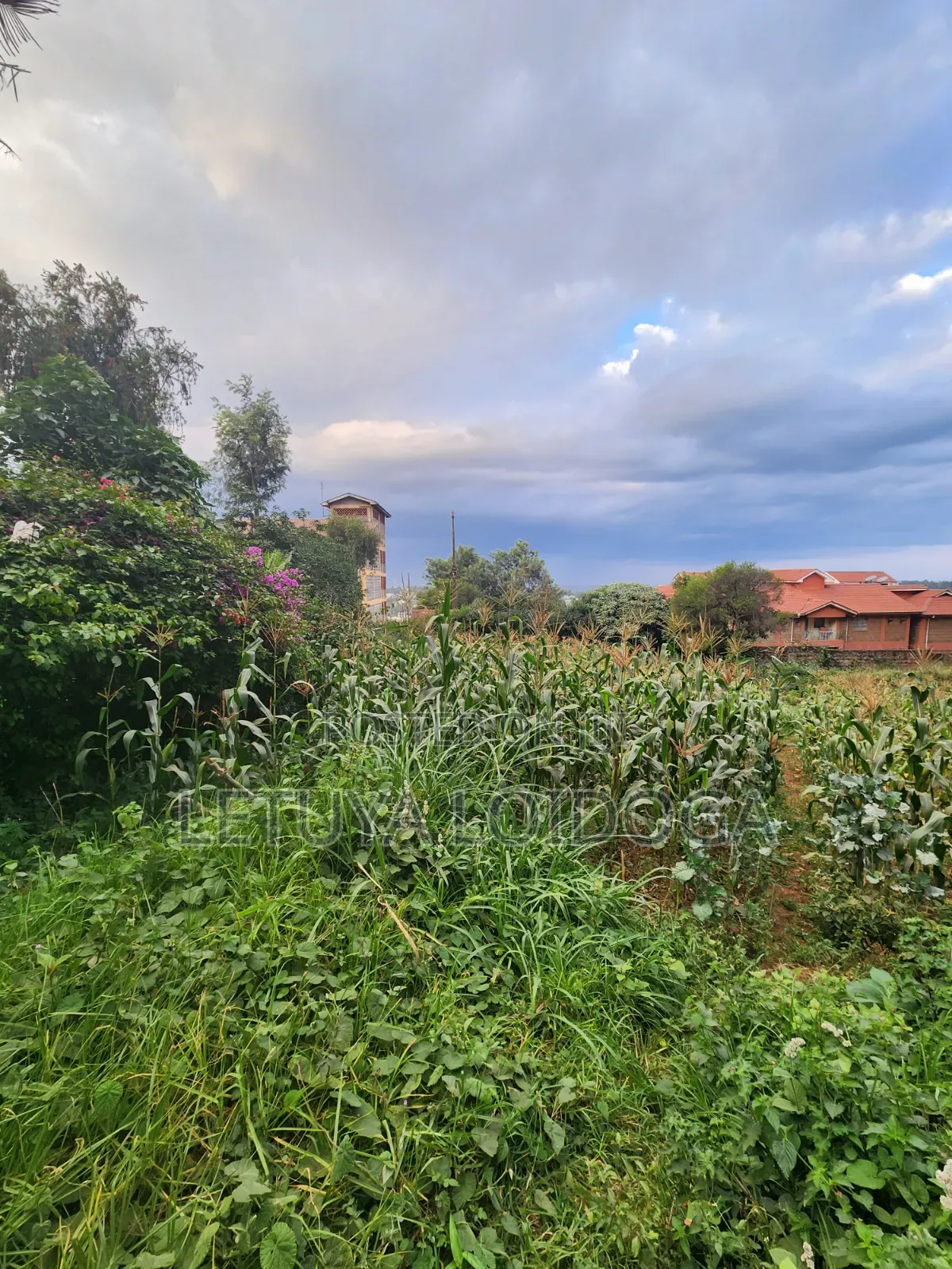 1⁄4 Acre Ngong Town (For Apartments)