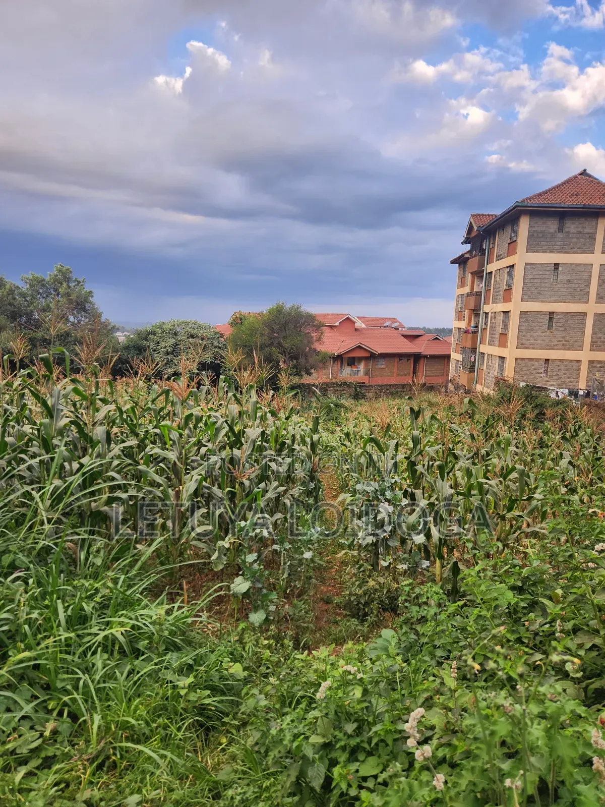 1⁄4 Acre Ngong Town (For Apartments)