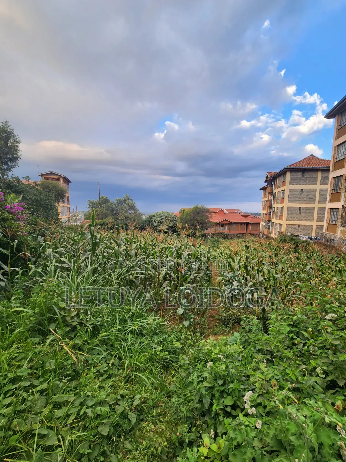 1⁄4 Acre Ngong Town (For Apartments)