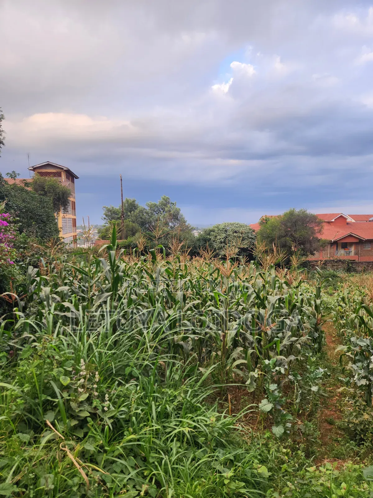 1⁄4 Acre Ngong Town (For Apartments)