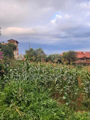 1⁄4 Acre Ngong Town (For Apartments)