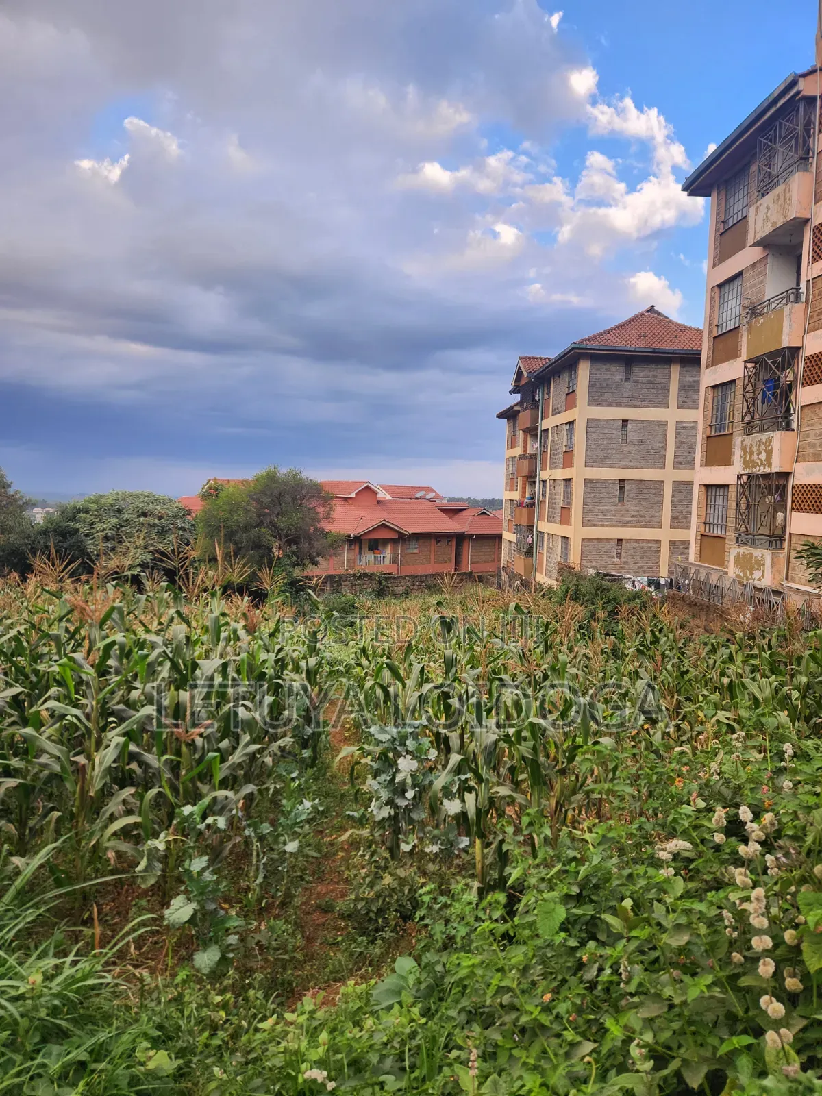 1⁄4 Acre Ngong Town (For Apartments)