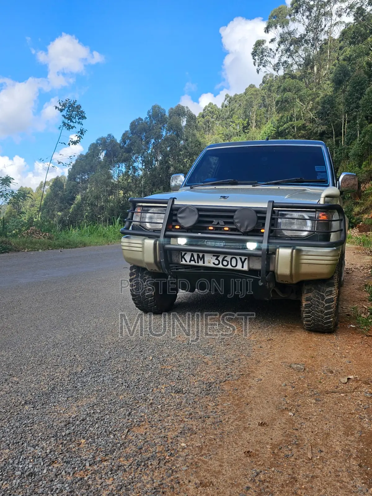 Mitsubishi Pajero 1993 Beige