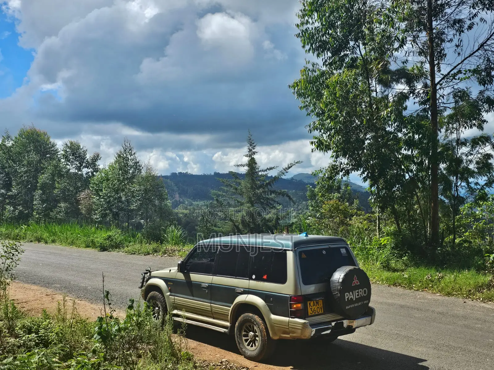 Mitsubishi Pajero 1993 Beige