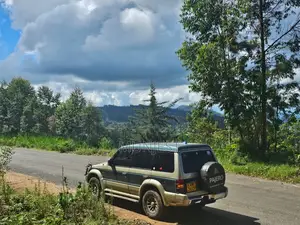 Mitsubishi Pajero 1993 Beige