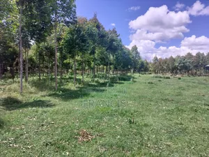 Kitiri Kinja