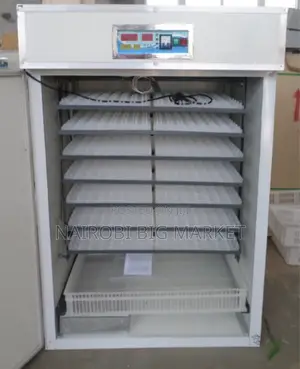 Egg Incubator