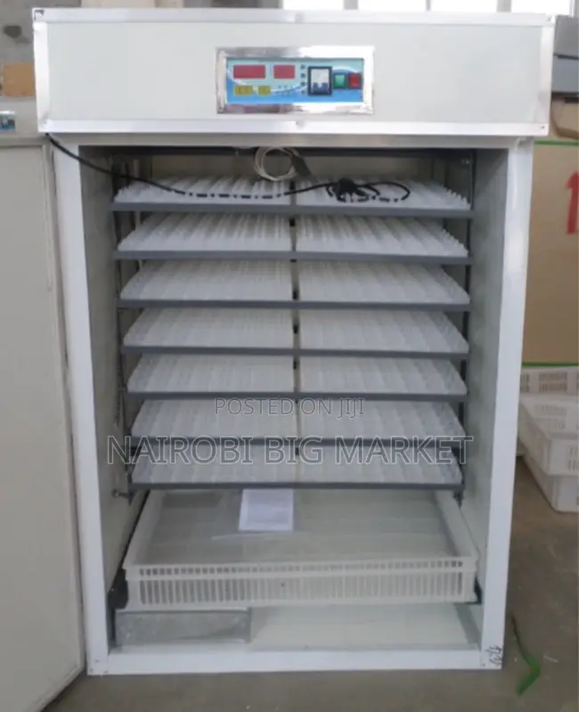 Egg Incubator