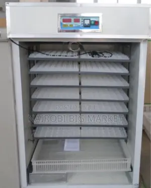 Egg Incubator