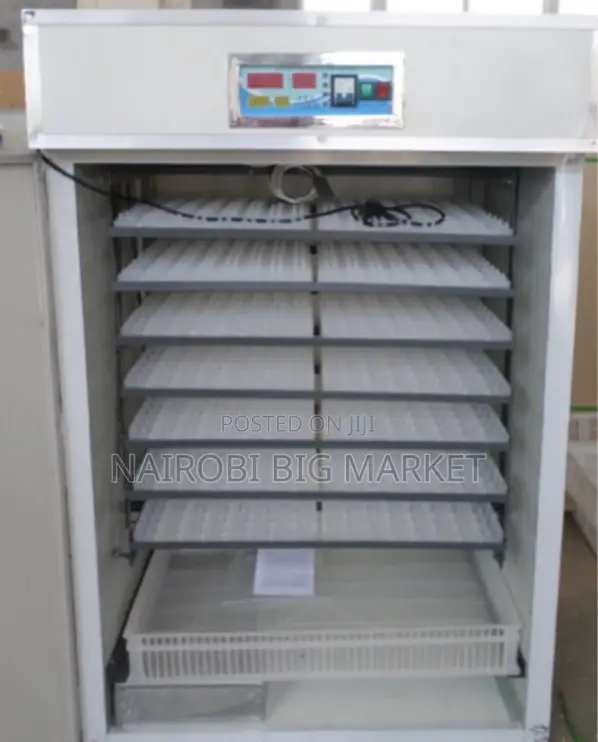 Egg Incubator