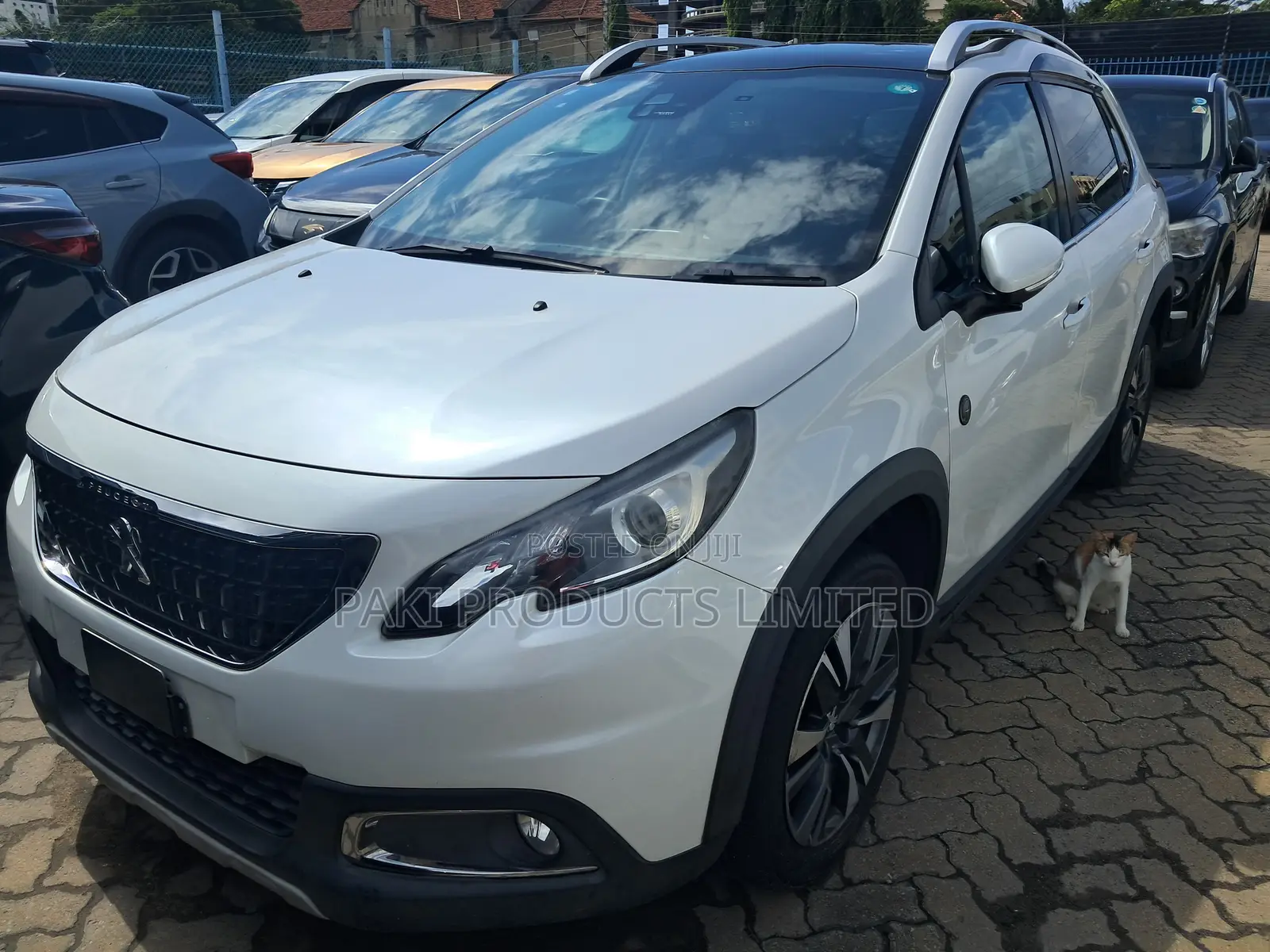Peugeot 2008 2019 White