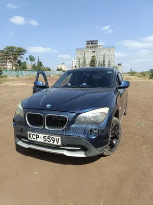 BMW X1 2011 Blue