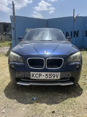 BMW X1 2011 Blue