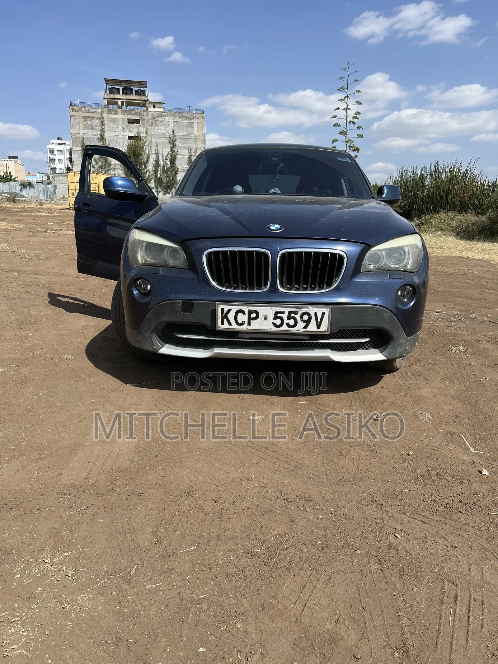 BMW X1 2011 Blue