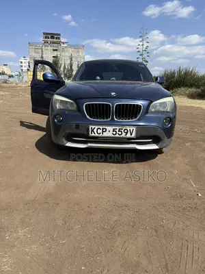 BMW X1 2011 Blue