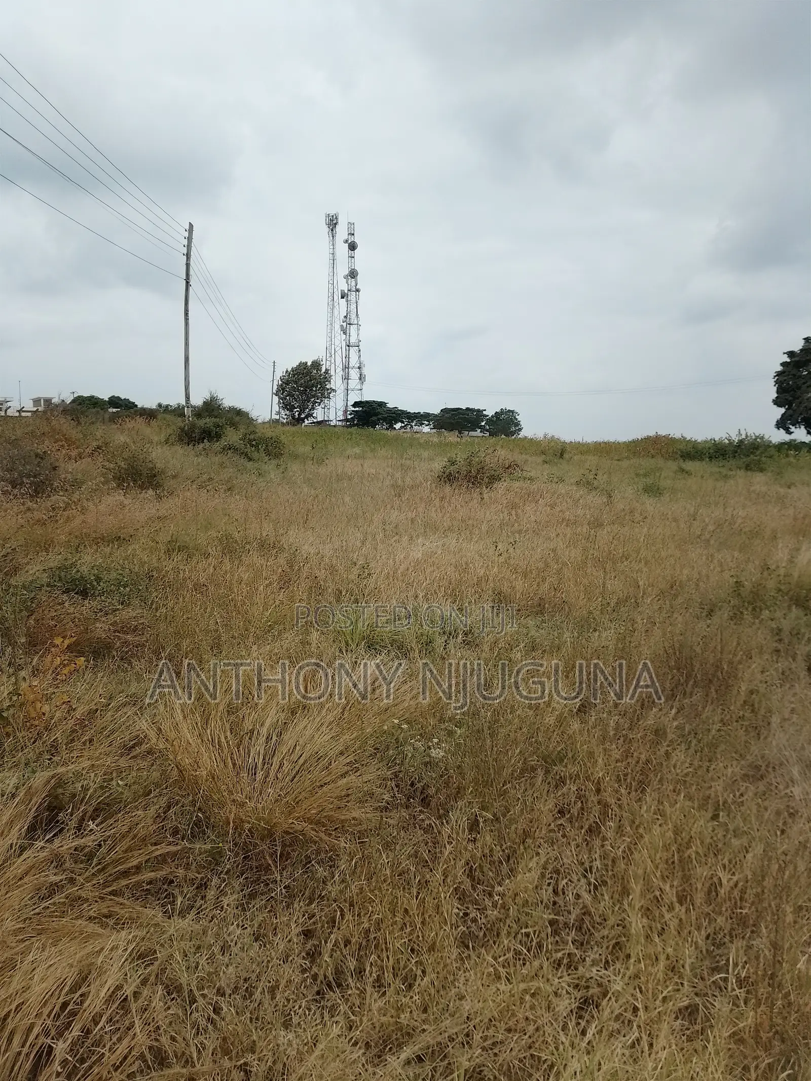 Malaa KBC Prime Plots