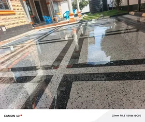 Compound Terrazzo Floor 1