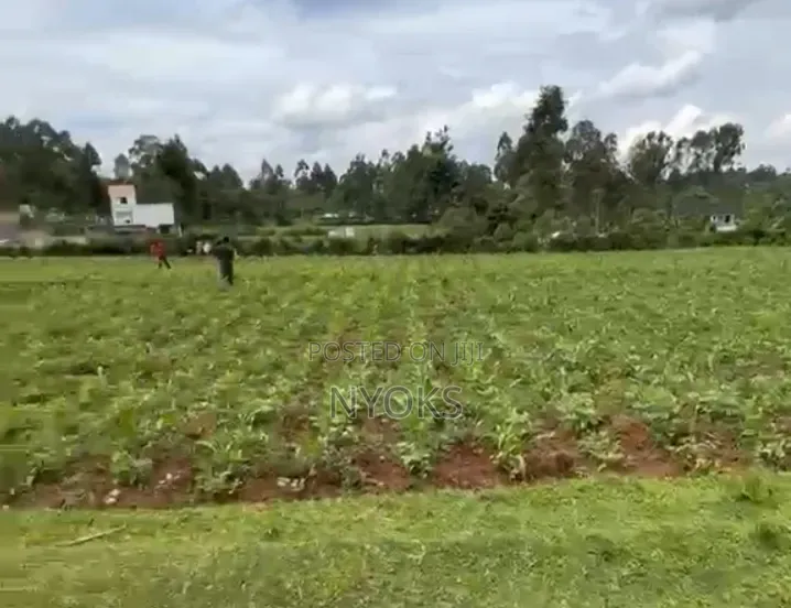 Land a for Sale