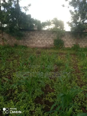 2 Acres Quick Sale Sagana Kirinyaga