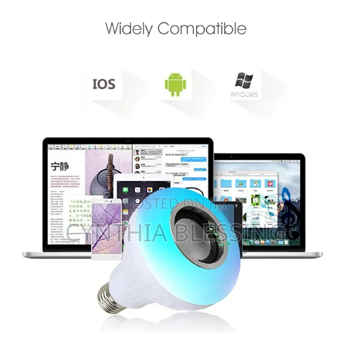 Double Bass Wireless Bluetooth Speaker Bulb With Music