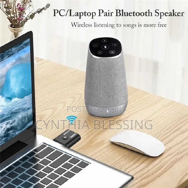 2 in 1 Usb Wireless Bluetooth Adapter 5.0