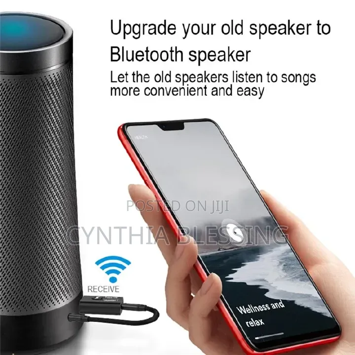 2 in 1 Usb Wireless Bluetooth Adapter 5.0