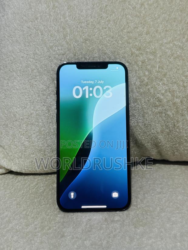 Apple iPhone 12 Pro Max 256 GB Blue - thumbnail 3