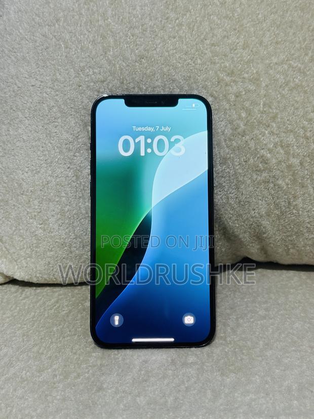 Apple iPhone 12 Pro Max 256 GB Blue - thumbnail 4