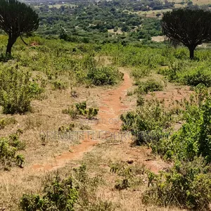 6 Acres at Mua Hills Best for a Homestead