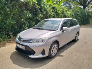 Toyota Corolla Fielder 2019 Silver