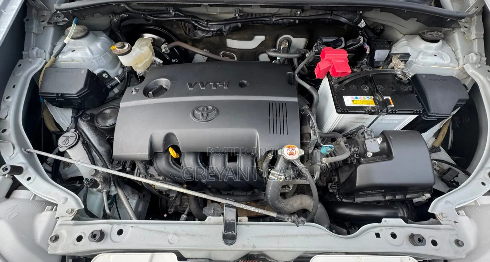Toyota Succeed 2019 White