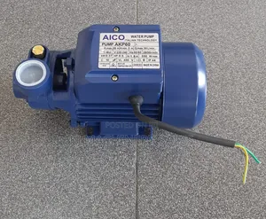 Aico Buster Pump