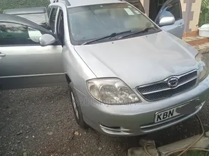 Toyota Corolla Fielder 2003 Silver