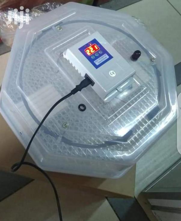 Brand New 60egg Incubator Machines - main view