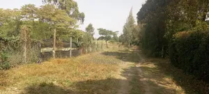 2 Plots 50×100 - 2plots100×100--1/2 Acer Plot