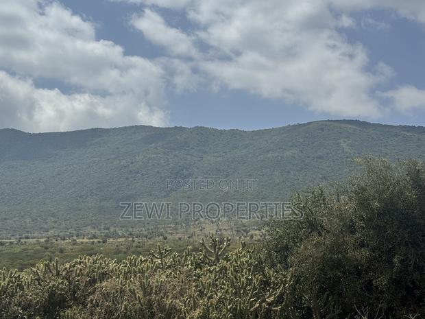 49 Acres Kisamis