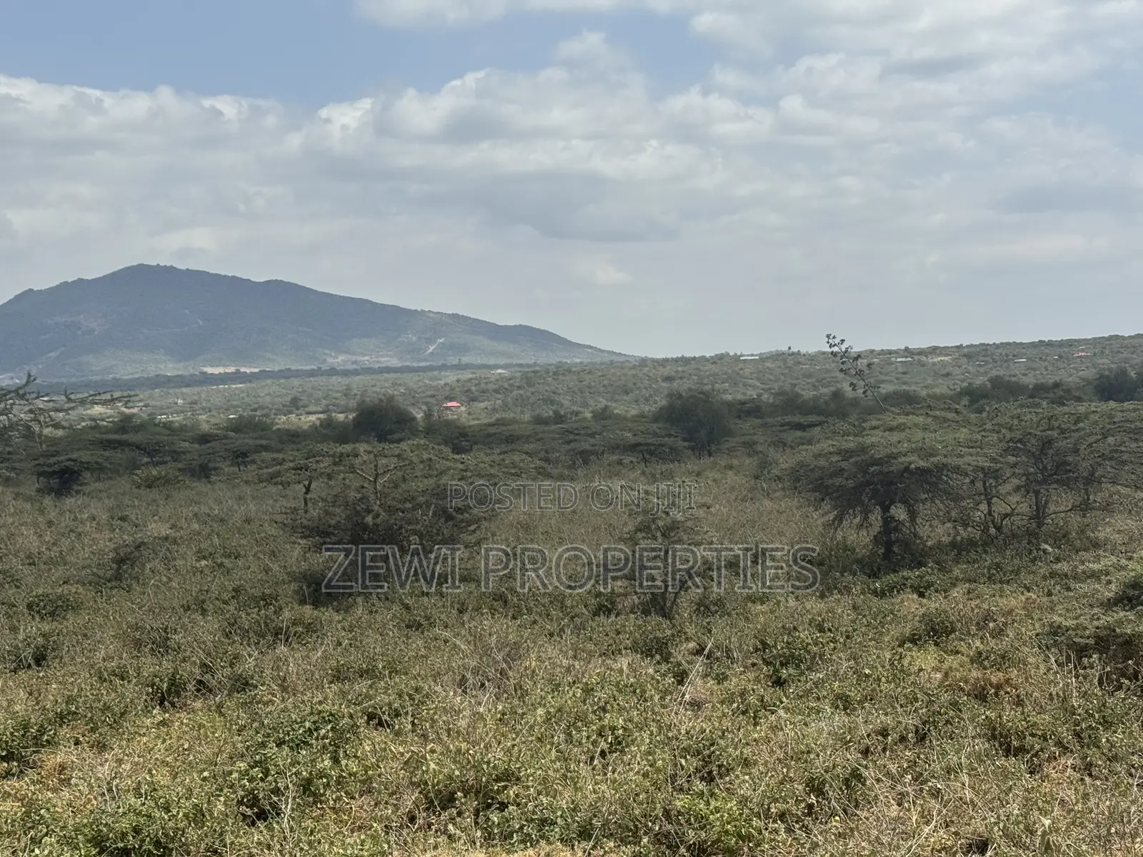 49 Acres Kisamis