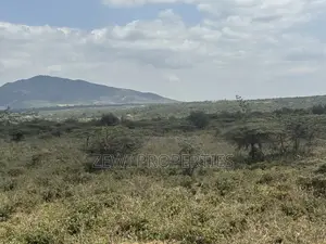 49 Acres Kisamis