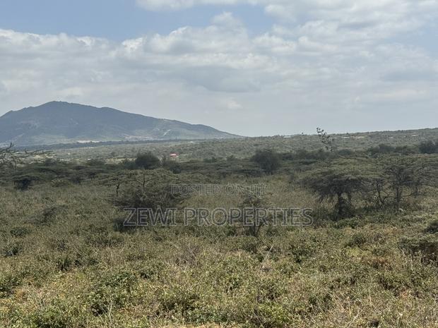 49 Acres Kisamis - thumbnail 2