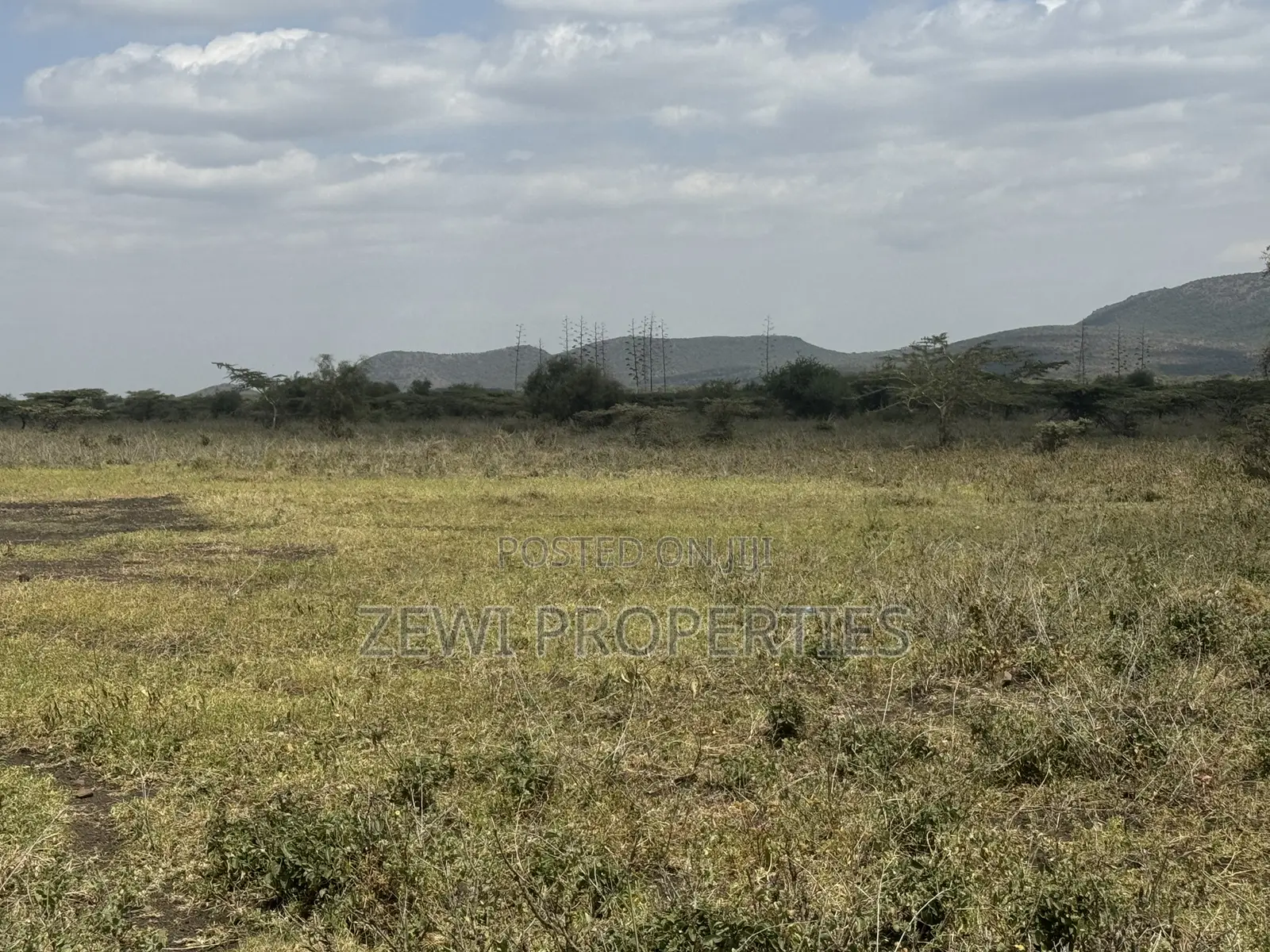 49 Acres Kisamis