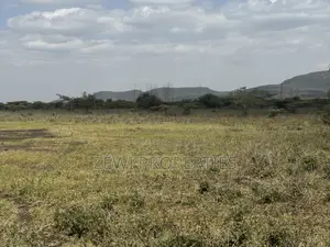49 Acres Kisamis