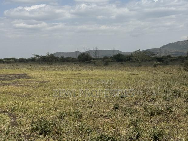 49 Acres Kisamis - thumbnail 3
